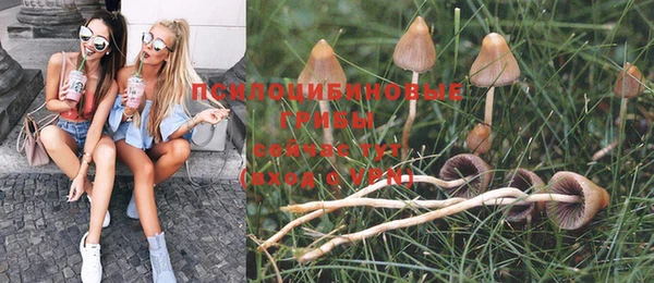 MESCALINE Вяземский